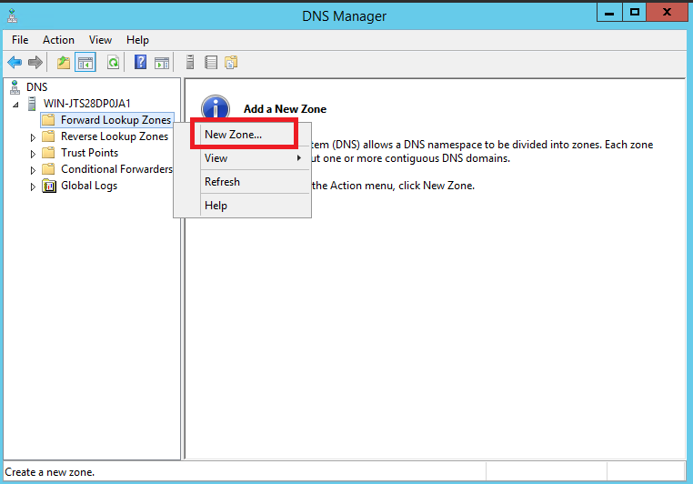 اضافه کردن دامنه در DNS Manager